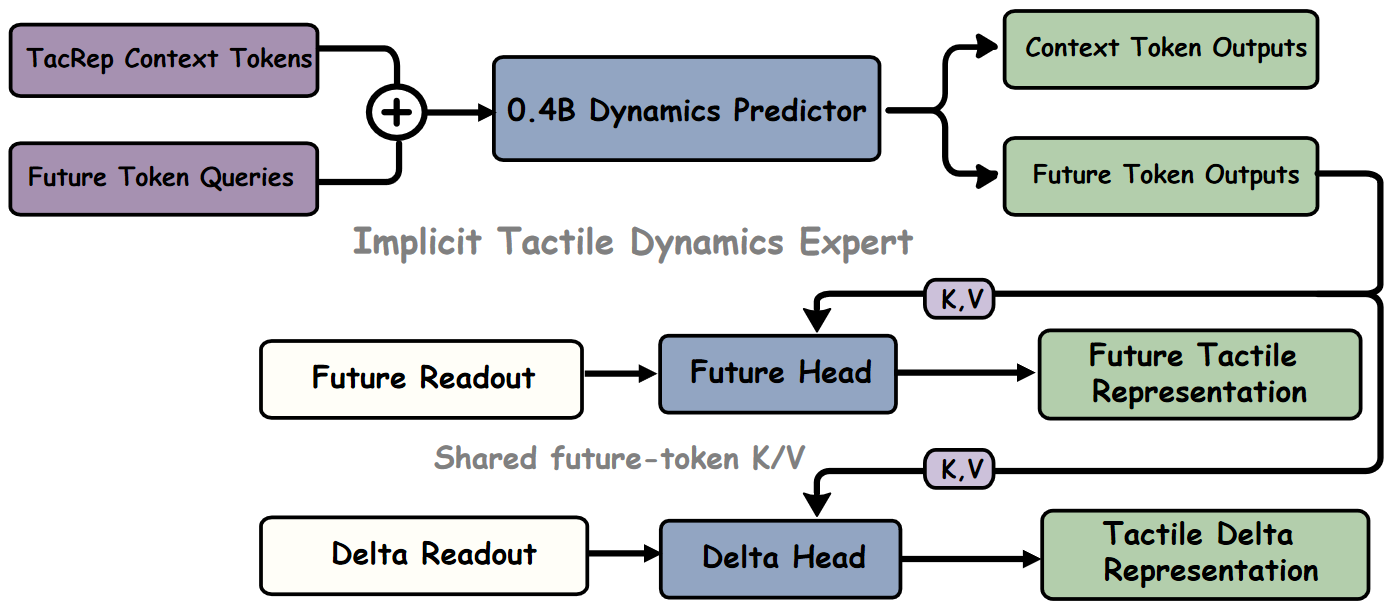 The Implicit Tactile Dynamics Expert predicts future representations and their changes at multiple horizons.