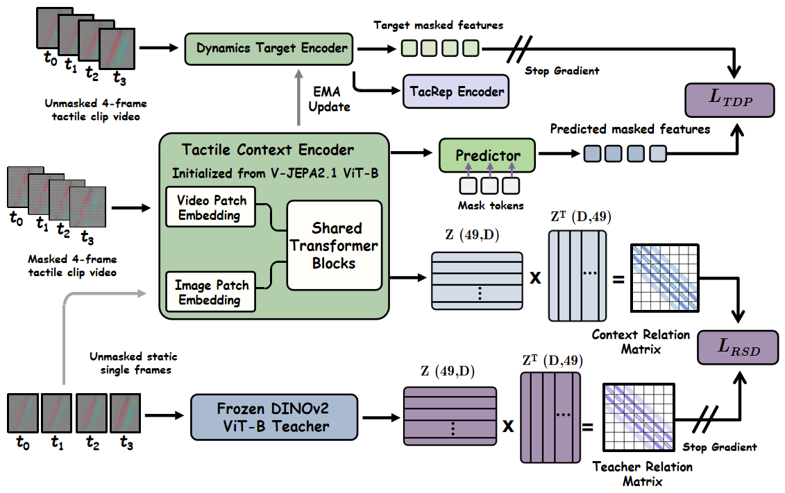 TacRep learning through masked tactile dynamics prediction and relational structure distillation.