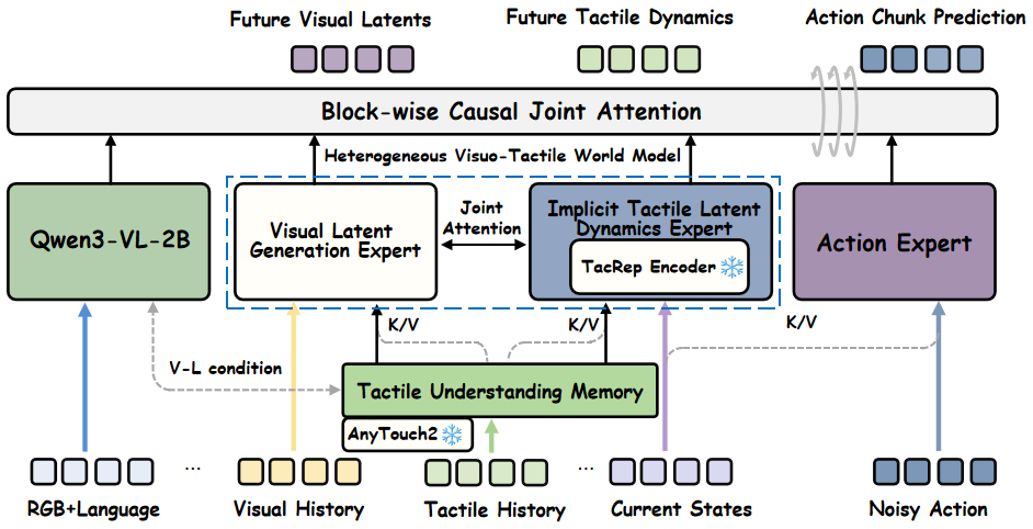 TacDyn-WAM model framework